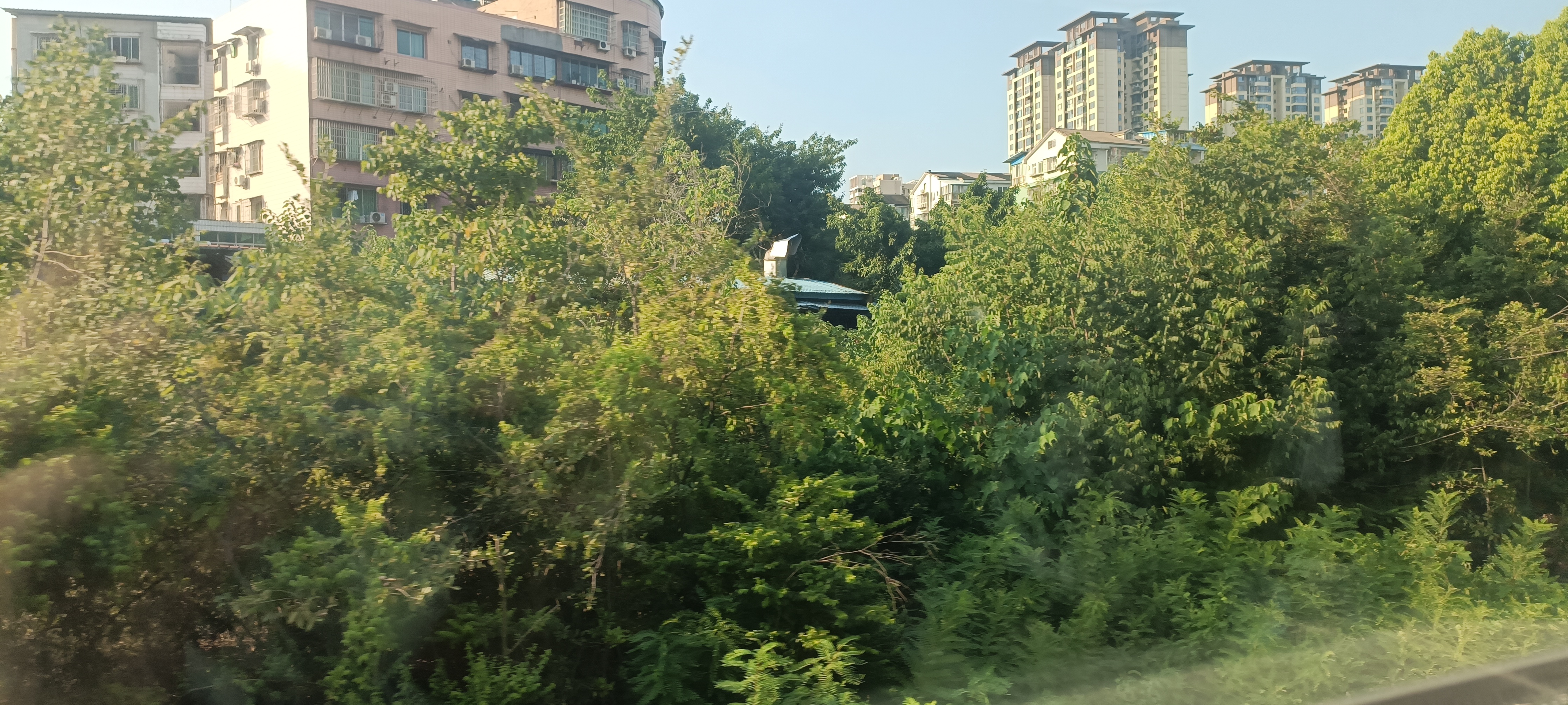 IMG_20250802_174832j